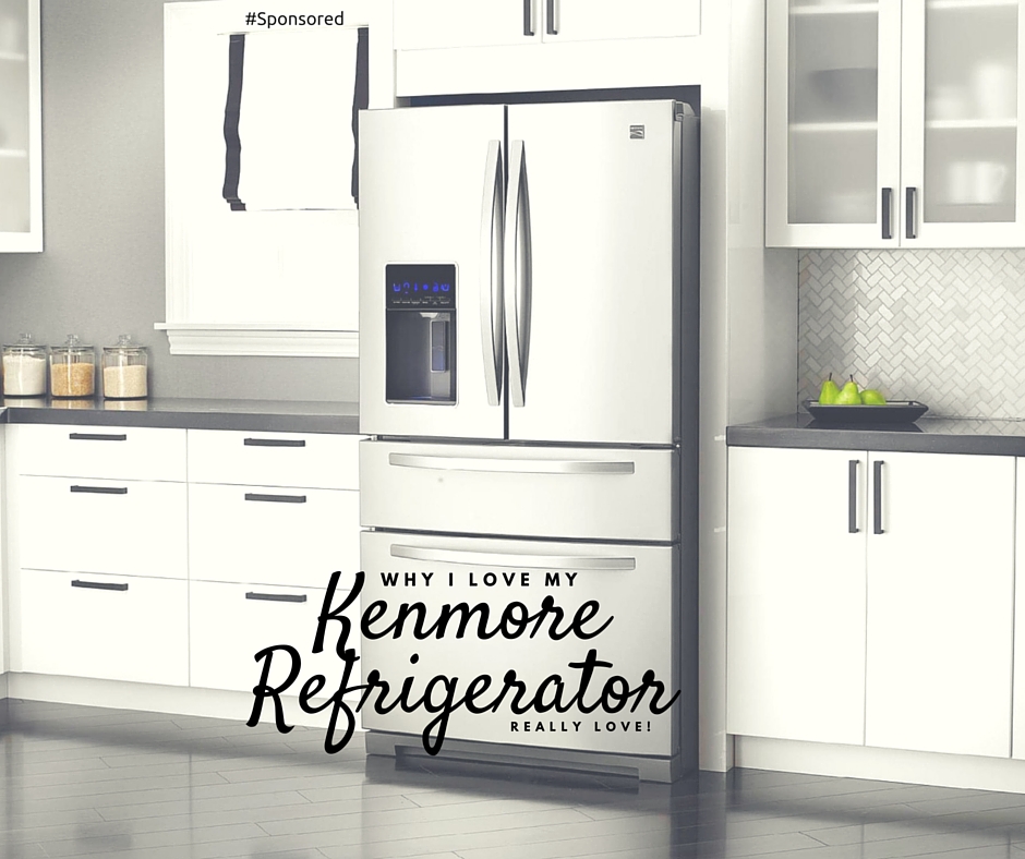 Falling In Love With My New Kenmore Refrigerator Scraps of My Geek Life